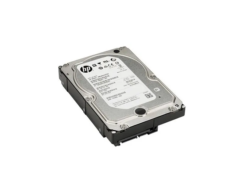 300955-013