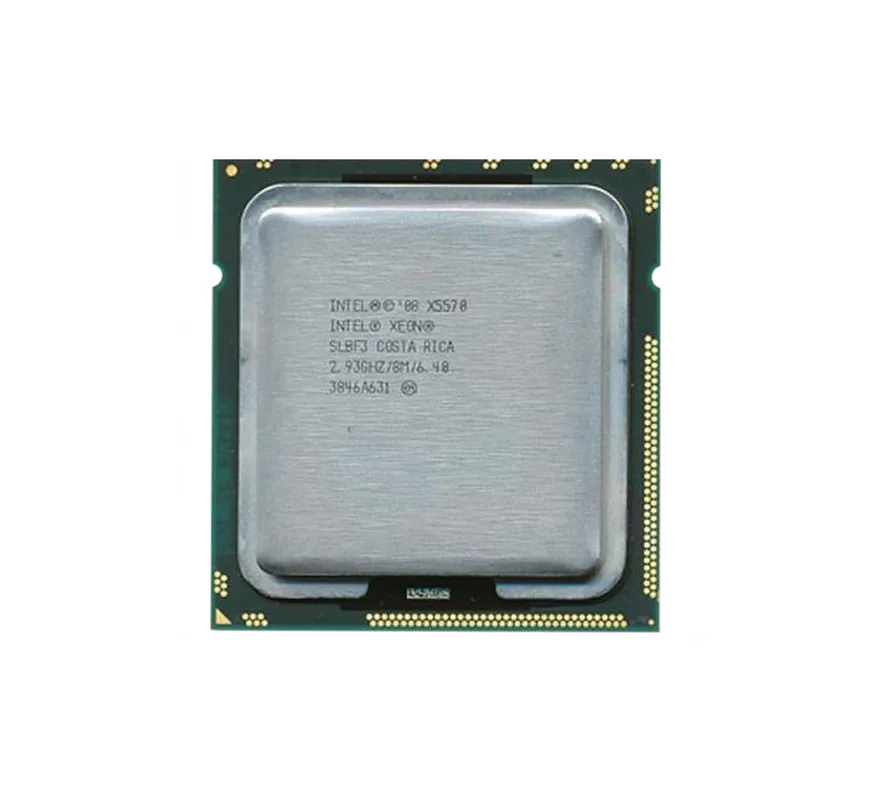 R513N