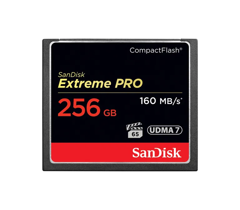 SDCFXPS-256G-X46